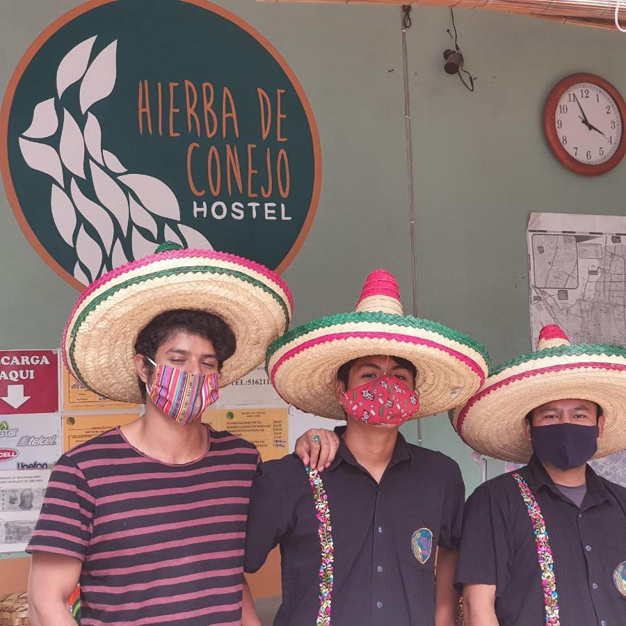 Hierba De Conejo Hostel Oaxaca Exterior foto
