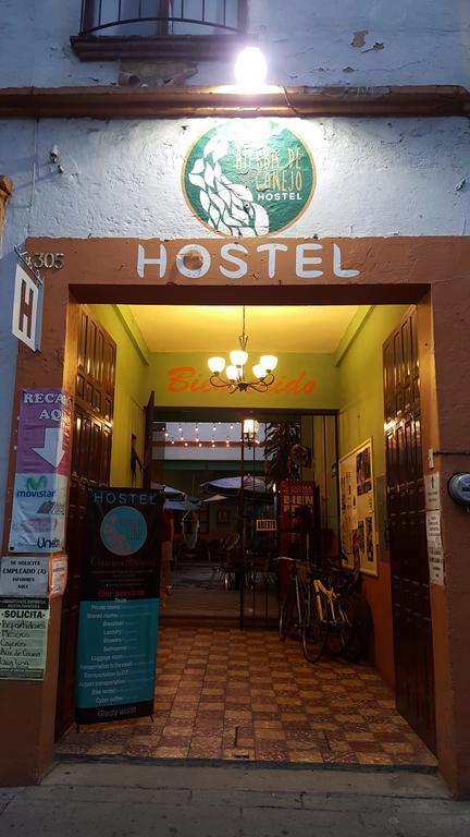 Hierba De Conejo Hostel Oaxaca Exterior foto