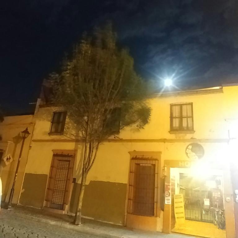 Hierba De Conejo Hostel Oaxaca Exterior foto